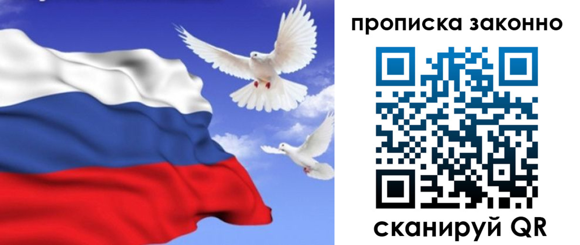 прописка в Суворове